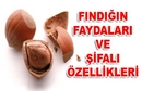 Fındık Yararları Nelerdir?