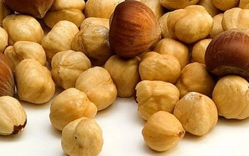 Fındık Nedir Fındık Faydaları Nelerdir?