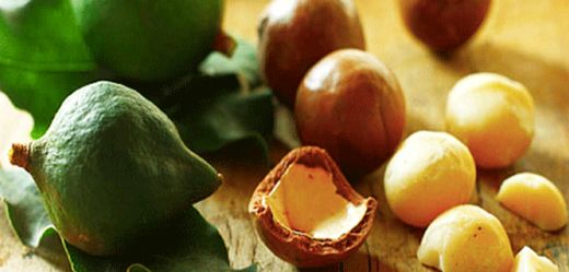 Cadı Fındığı Kullanım Alanları