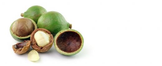 Cadı Fındığı Yağı Kullanımı ve Faydaları Nelerdir?