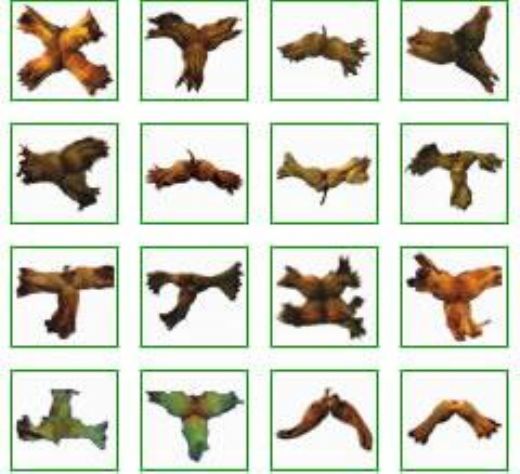 Fındık Çeşitleri Nelerdir?