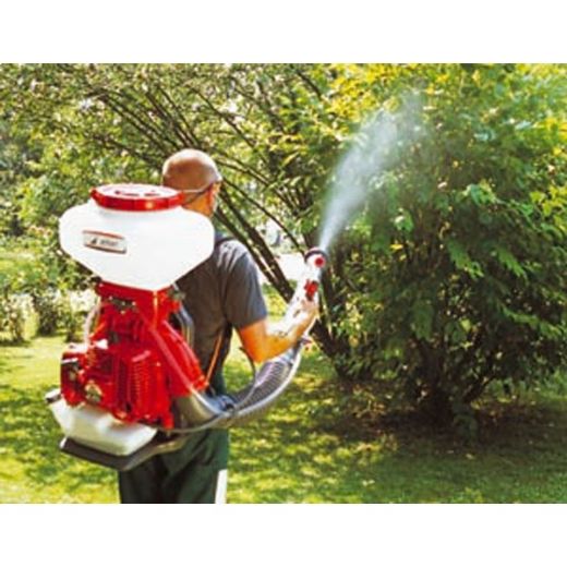 Fındık İlaçlama Nasıl ve Neye Göre Yapılır?